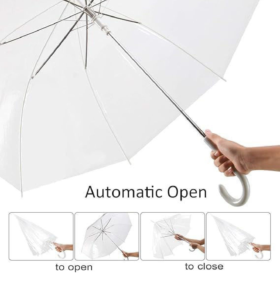 Transparent Umbrella