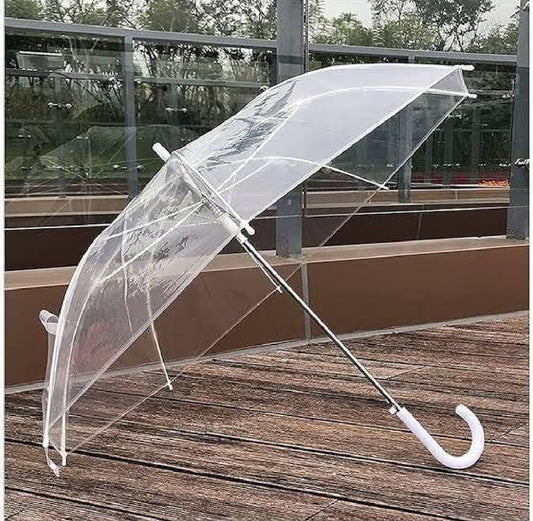 Transparent Umbrella