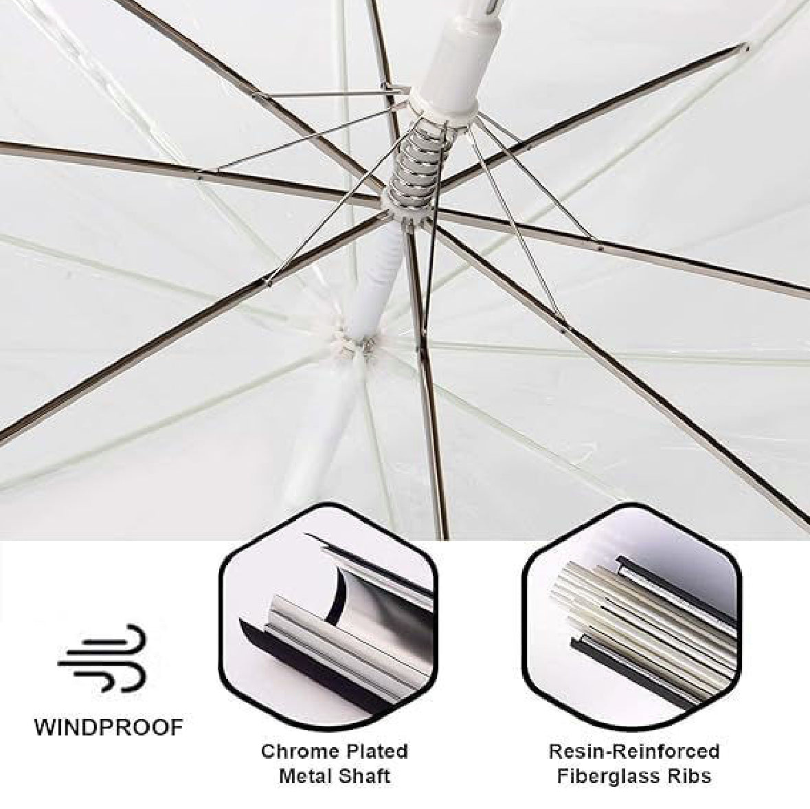 Transparent Umbrella